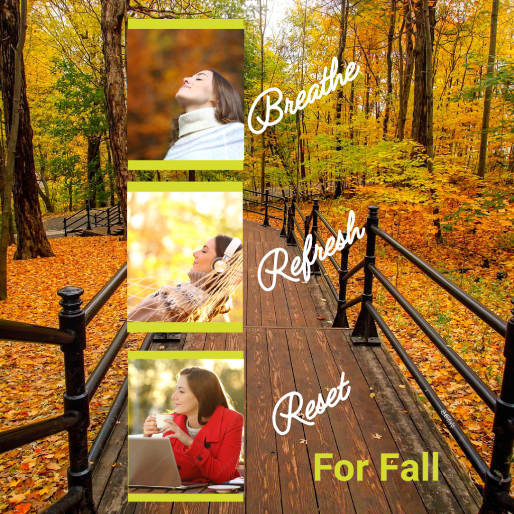 Fall Way 4 Tips for Transitioning to Fall as a Solopreneur